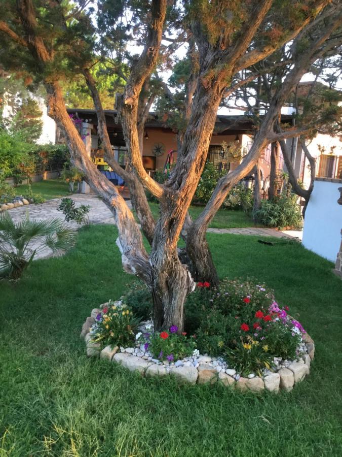 Villa Edo Cala Liberotto Luaran gambar
